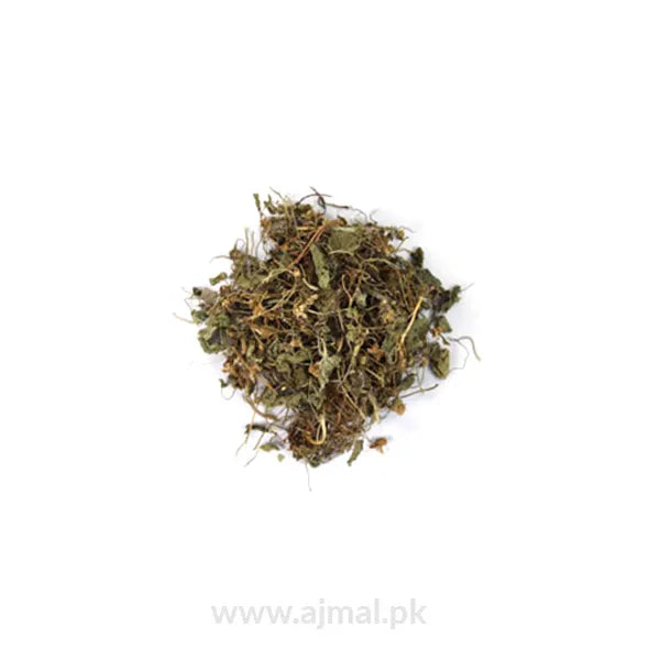 Wood Violet | Gul Banafsha | گل بنفشہ