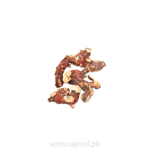 Greater Galangal | Khulanjan | خولنجان
