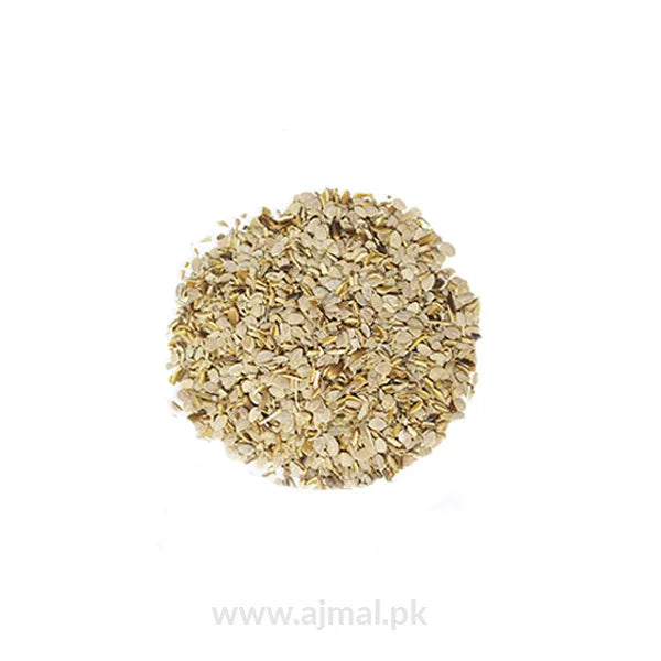 Acanthus Seeds