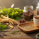 Could Herbal Remedies Be the Answer to Men’s Daily Health Struggles?