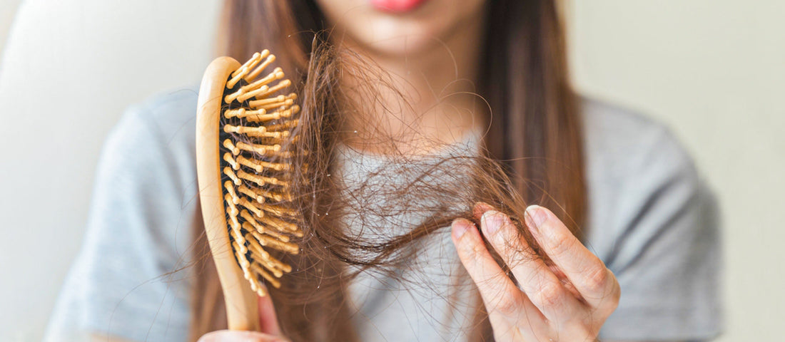 Which Herbal Remedies Actually Work for Hair Fall Control?