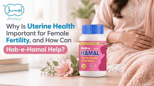 Why Is Uterine Health Important for Female Fertility, and How Can Hab-e-Hamal Help?