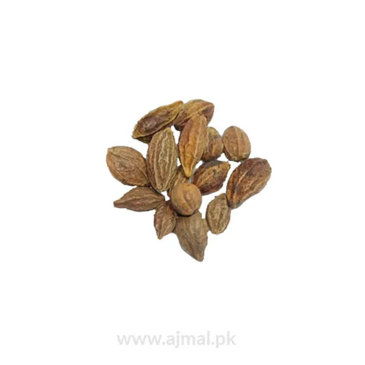 Terminalia Chebula