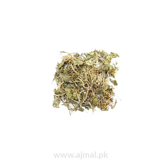 Gotu Kola
